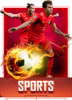 imgSubBannerSports_20214216094216